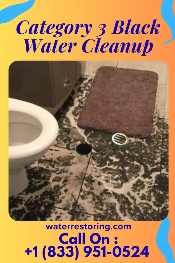 Category 3 Black Water Cleanup in Cross Plains, TN