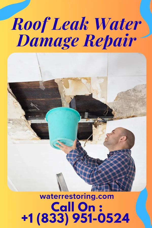 Roof Leak Water Damage Repair in Cross Plains, TN